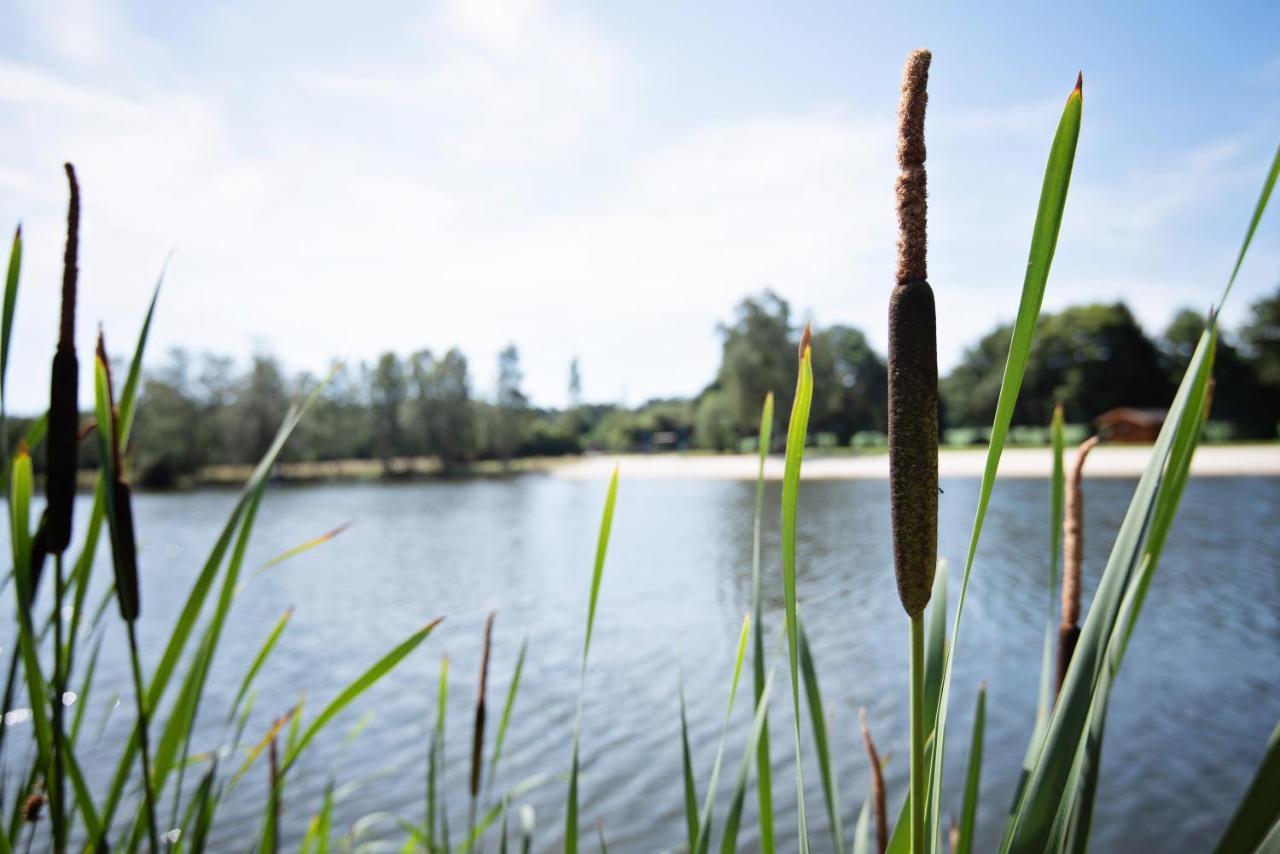 Ferienparadies Muehlenbach Soltau Exteriör bild
